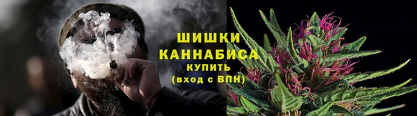 мескалин Ельня
