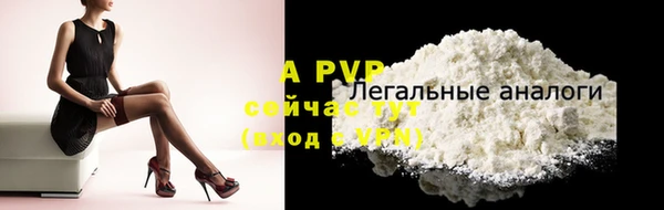 ПСИЛОЦИБИНОВЫЕ ГРИБЫ Елизово
