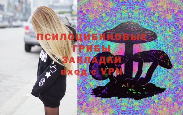 ПСИЛОЦИБИНОВЫЕ ГРИБЫ Елизово