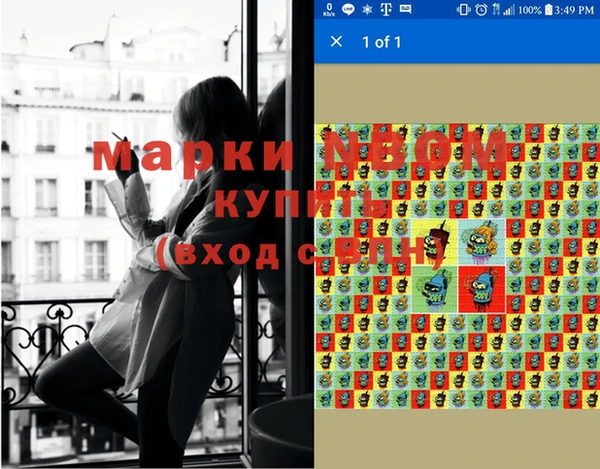 ПСИЛОЦИБИНОВЫЕ ГРИБЫ Елизово