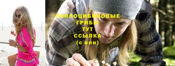 мескалин Ельня